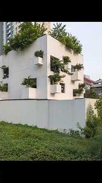 Sky House, Vietnam 🏡 | A Peaceful Oasis in the Concrete Jungle 🌿 | MIA Design Studio