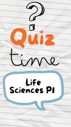 Matrics Economics Quiz for Paper 2 Preparation