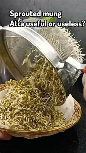 Sprouted Mung Dal Atta versus Mung Atta? #shortsfeed