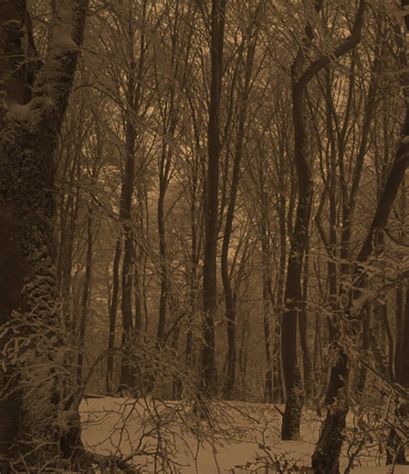 Lilu (@lilu.u1)’s videos with green to blue (slowed reverbed) - daniel.mp3