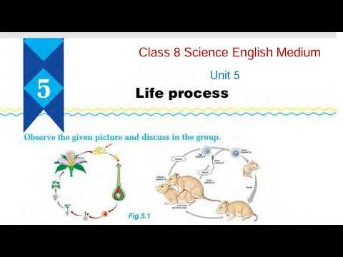 class 8 science unit 5/life process/grade 8 science chapter 5 life process/English medium