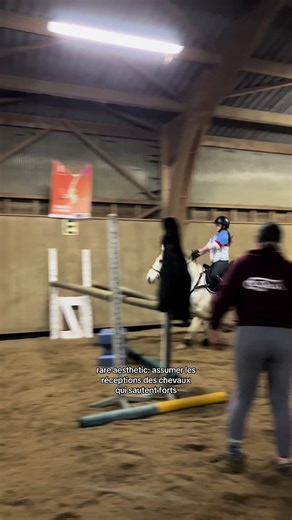 Mastering Equestrian Show Jumping Techniques