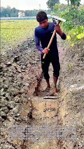 トラックのコンテナを丸ごと空にする大量収穫の荷下ろし：数トンもの農産物がわずか数秒で降ろされる様子――農家が大量の作物を手作業で素早く荷下ろしする方法