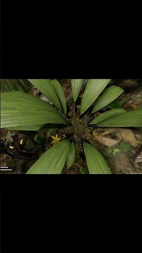 How To Find Green hell Save world file location.🔍🕵️‍♂️