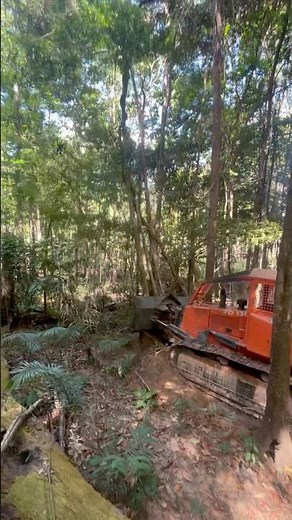 Trator De Esteira FD130 Fazendo Estrada #machinerychannel