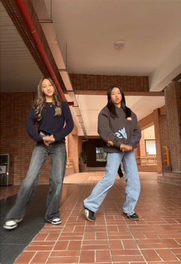 Dance Challenges with a Twist: Same Song, Different Dance