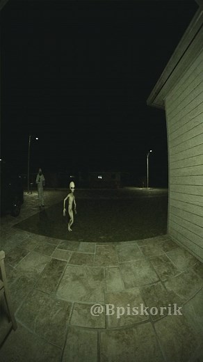 Somebody doesn’t want to go back to Area 51 #alien #paranormal #ringcamera #blender | Brandon Piskorik