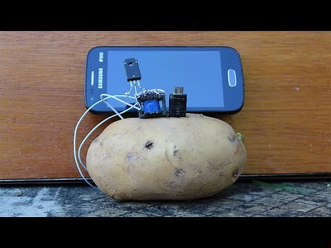 Free Energy Potato Science Experiment