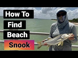 Snook Fly Fishing - Finding Snook At The Beach!