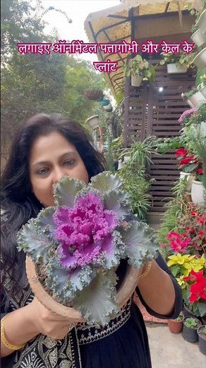 ornamental kale & cabbage #wintergarden #gardeningadvice #decembergarden