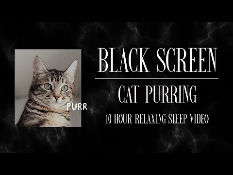 CAT PURRING l 10 Hours of Pet Sounds for Sleep l Black Screen