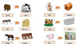 Animal And Their Homes - English - Notes - Teachmint