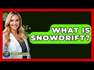 What Is Snowdrift? - Earth Science Answers