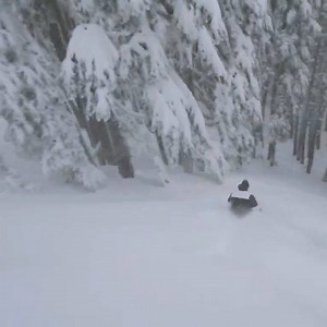 3.5K views · 238 reactions | Winter is back and we are loving it! #timberlinelodge | Timberline Lodge | Facebook