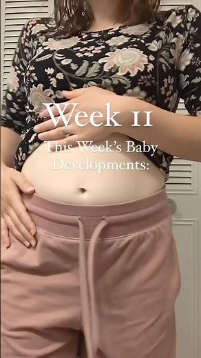11 weeks pregnant baby development