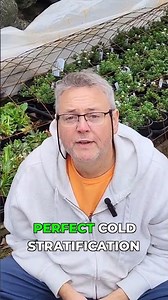 These 3 Items Transform Seed Germination #gardening #hacks