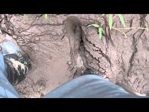 Why you Must Wear Rubber Boots - Stuck in the Mud of the Amazon Jungle