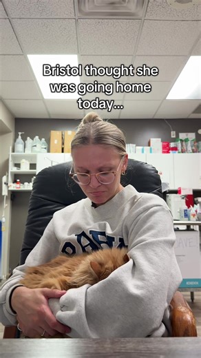 Bristol is still waiting for her forever home. Unfortunately, her previous meeting fell through due to no fault of Bristol’s. These types of things don’t happen often, but it does. The last thing we want is for Bristol to lose momentum and sit at the shelter. The video isn’t intended to shame, point fingers, or to call anyone out, but to continue to advocate for Bristol to find her forever home. 🤍 She deserves this. This is the reality of rescue work, especially when social media is involved. S