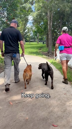 Progress is NOT linear. Don’t let the tough times discourage you 💪 Training a reactive dog can be one of the most mentally taxing, all-consuming, and stressful experiences. It takes time to change their emotional response, build confidence and trust, and undo the months/years of rehearsed behaviours. And even then, everyday stressors can layer and dogs can still have “bad days” or periods of regression due to external or internal changes. Even though these hard days can leave you feeling so ove