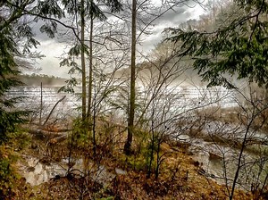 Best Hikes in Bankhead National Forest (AL) - Trailhead Traveler