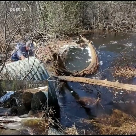 3K views · 55 reactions | Part 3 Dismantling Log Jam. Unclogging Culvert | Pos10 | Facebook