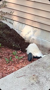 7.3K reactions · 419 shares | I’m either laughing or crying 路‍♂️ | Rustic Retreat Deer Park | Facebook