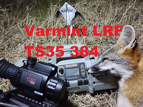 AGM Varmint LRF TS35 384 Review