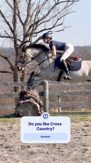 But why does this sound match his stride? #horse #jumping #equestrian #youtube #shorts
