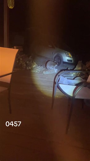 Melissa Sheriff (@melissasheriff)’s videos with Somebody's Watching Me - Rockwell