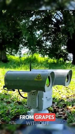 Automated Bird Deterrent Using Laser Technology