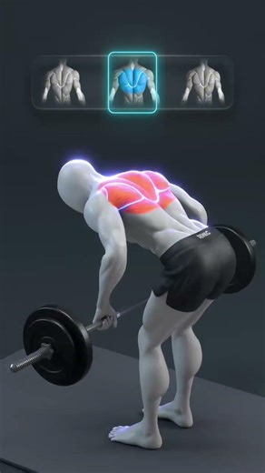 🧠 Barbell Row Variations Explained — Train Smarter