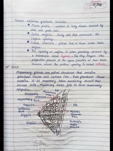 Human reproduction short notes #biology #neet #jee