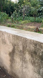 Lift up to 1000 lbs effortlessly with this 90° adjustable pulley system! ⚙️ Durable steel frame, smooth nylon pulleys, and a portable, no-installation design make it perfect for garages, workshops, farms, or any indoor/outdoor lifting task. Handle heavy loads safely and smoothly—anywhere, anytime. | Clearandclever | Facebook