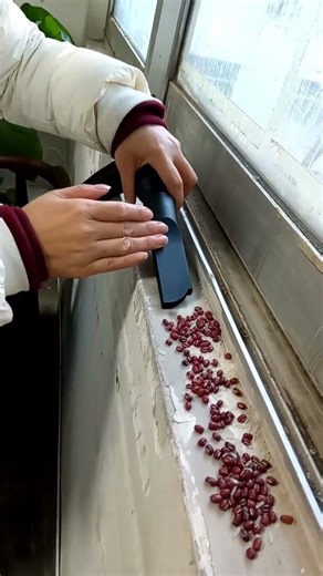 Cordless Vacuum vs. Beans Near the Window – 10-Second Test!