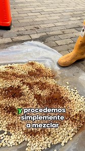 Desinfección De Semilla Para Siembra 🌱🛡️ Usamos Trichoderma, Bacillus subtilis y Bacillus thuringiensis para proteger la semilla desde el inicio, reducir patógenos del suelo y lograr una emergencia uniforme y plantas más fuertes. #IngeNan #Agricultura #MAIZ #papa #Cultivo #Agronomia #AgroverdeEC #Campo #Tips #Huerto 🌱🚜 | Grupo Agroverde