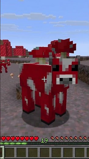 Everything about Mushroom Cows in 30 Seconds (Minecraft)