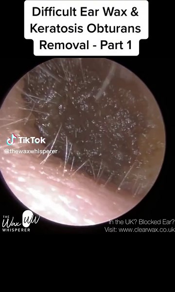 The Wax Whisperer on TikTok