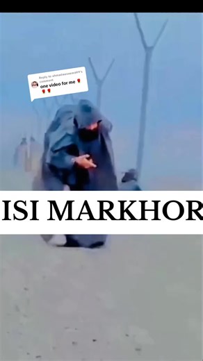 Replying to @ahmadwaseem699 #4 #4u #4upage #4you #4k #ondutymode #everyone❤ #وطن_سلامت_رہے_ہم_رہیں_نا_رہیں #cybercrime #harusabaali #winter #syedatifali78 #trending #trend @Syed Atif Ali Shah @Haru Saba Atif @Haru Saba Ali