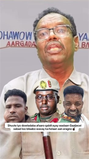 Gaaljecel vs Shuute: Dagaal Qabiil iyo Saameynta