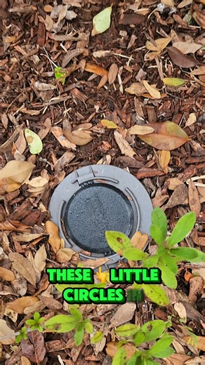 Free WDIs with every inspection AND built-in termite defense in the yard? 🐜💅 Your buyer’s peace of mind just leveled up. | Bryan & Bryan Inspections