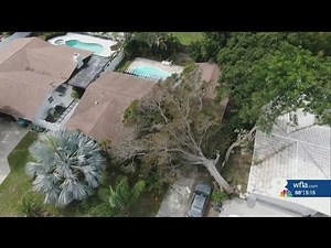 Who's responsibility is it when a tree falls on your property?