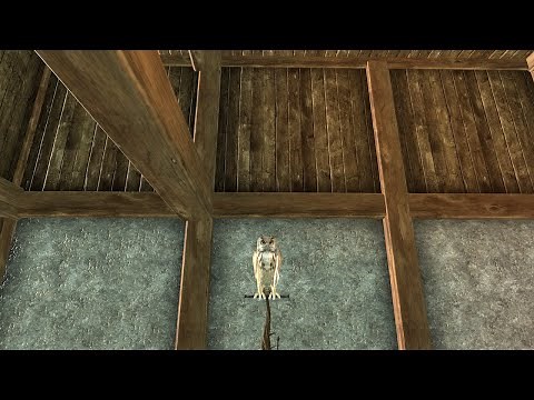 Project: Gorgon - Becoming A Druid Guide