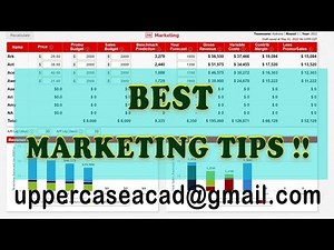 CAPSIM marketing decisions