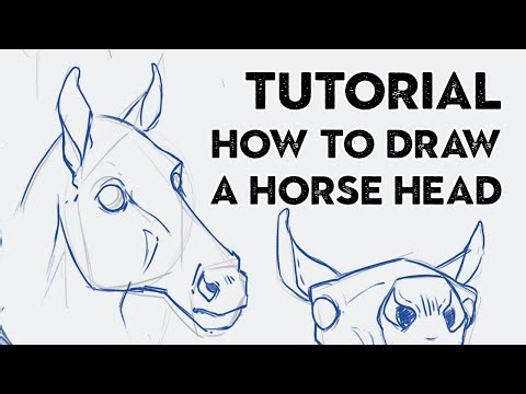 TUTORIAL - How to draw a (semi realistic) horse head