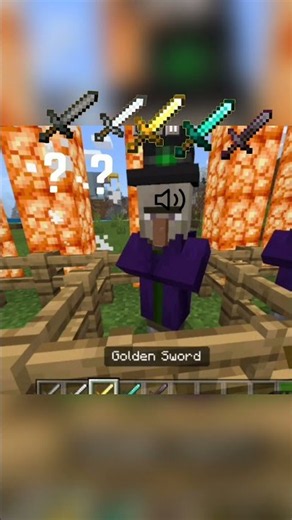 i tried every sword on witches thay can use potions 😳