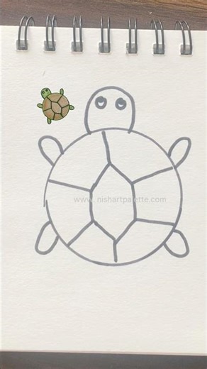 How to draw a tortoise 🐢 #class #easy #kids #tortoise