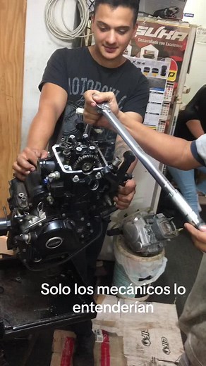 alexisbergmann950 on TikTok