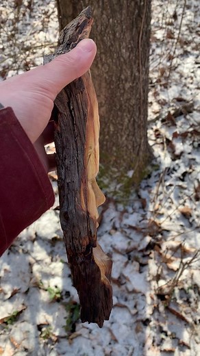 Female Face Wood Carving Tutorial