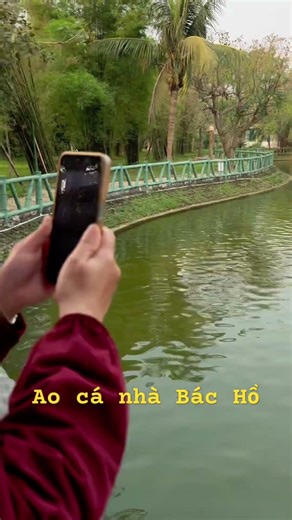 Về thăm quê bác. Ao cá, hàng tre rất đẹp.