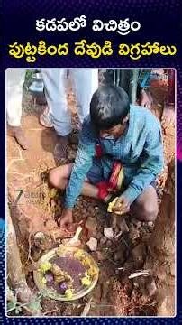 Shocking Incident At Kadapa Vontimitta | కడపలో విచిత్రం పుట్టకింద దేవుడి విగ్రహాలు | ZEE Telugu News